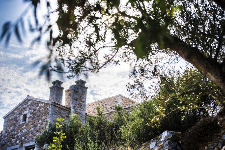 ΦΩΤΟΓΡΑΦΙΕΣ