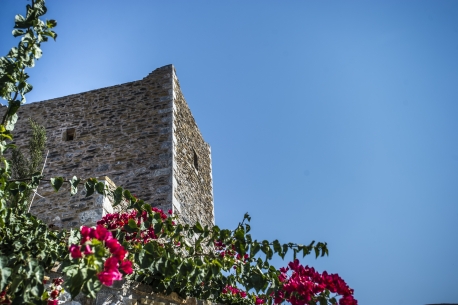 ΦΩΤΟΓΡΑΦΙΕΣ